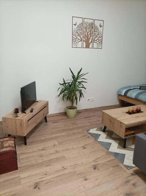 Stylovy Apartman Zemplinska Πρέσοβ Εξωτερικό φωτογραφία