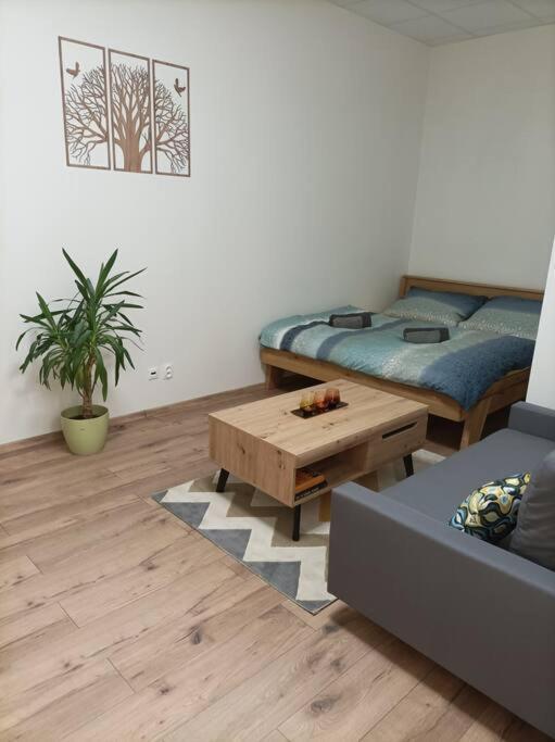 Stylovy Apartman Zemplinska Πρέσοβ Εξωτερικό φωτογραφία
